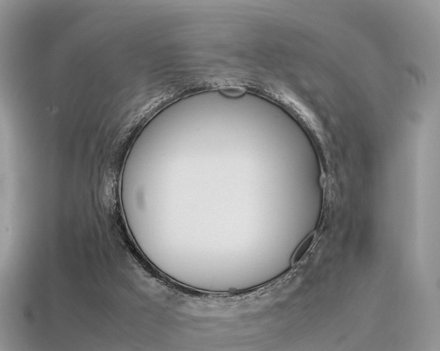 X0000115500009200911061032