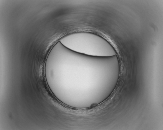 X0000115500010200911061032