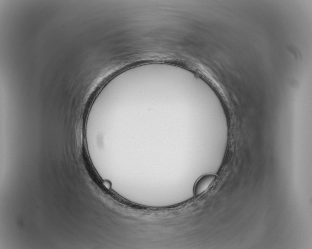 X0000115500011200911061032