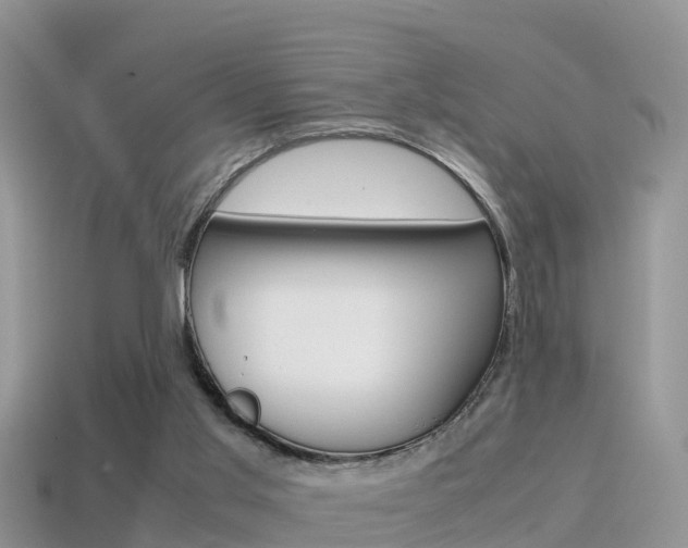 X0000115500013200911061032