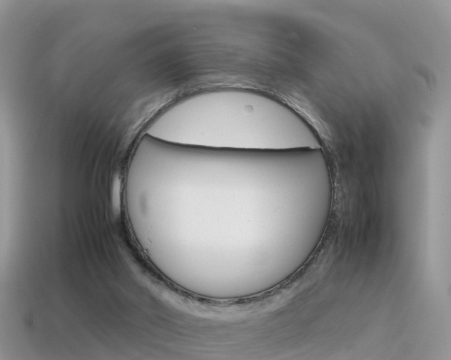 X0000115500014200911061032