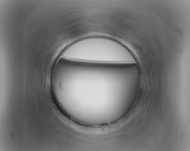 X0000115500015200911061032