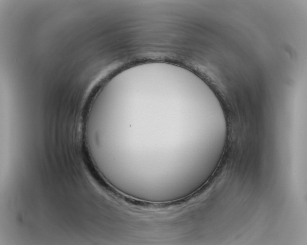 X0000115500016200911061032