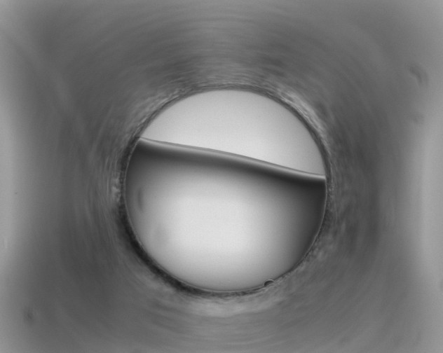 X0000115500017200911061032
