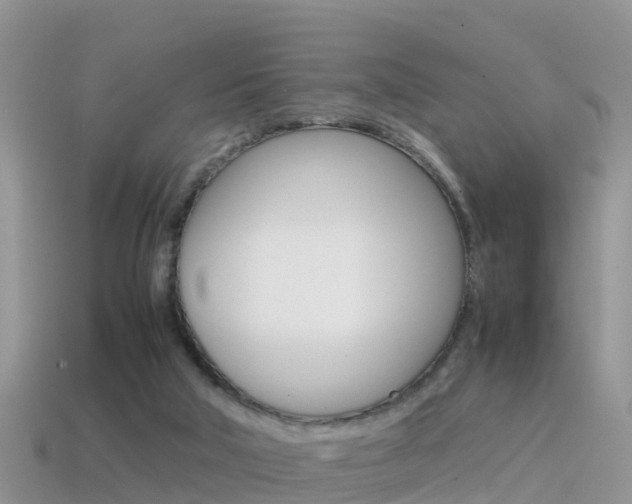 X0000115500018200911061032