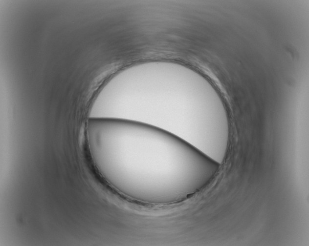 X0000115500019200911061032
