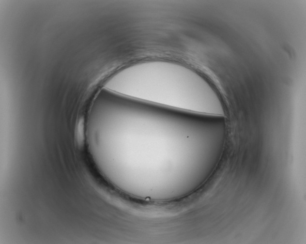 X0000115500020200911061031