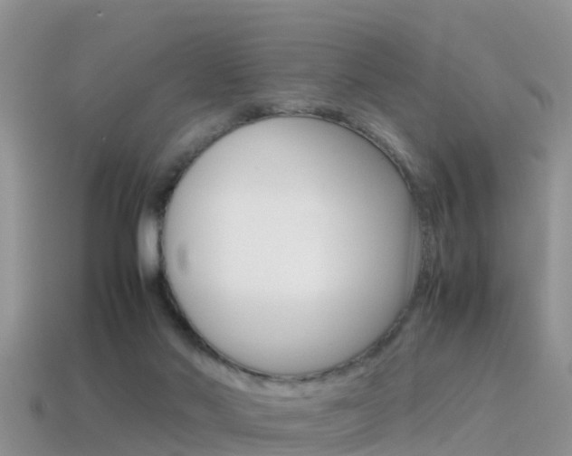 X0000115500022200911061031