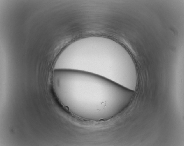 X0000115500023200911061031