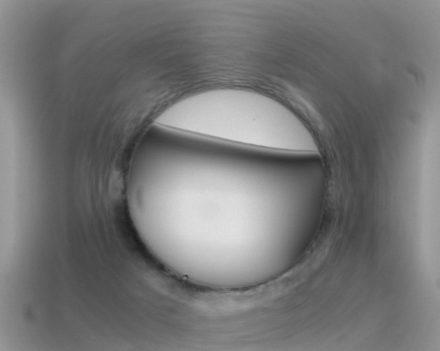 X0000115500025200911061031