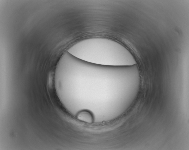 X0000115500026200911061031