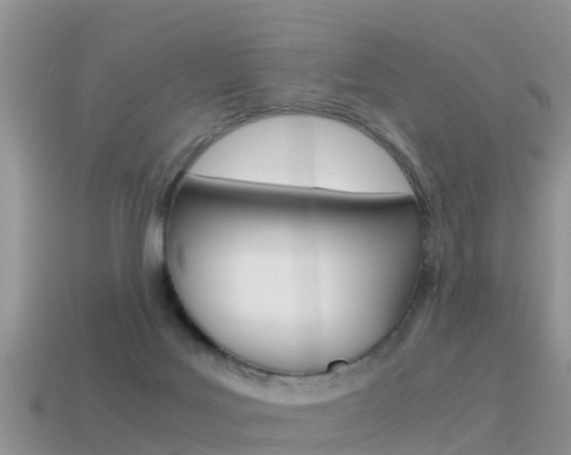 X0000115500027200911061031