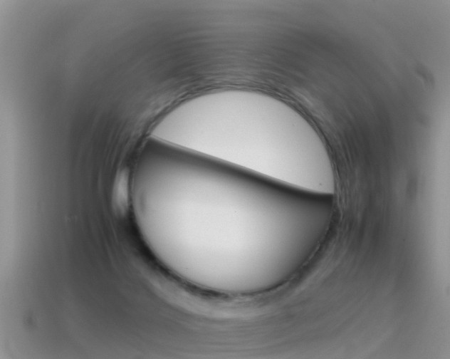 X0000115500028200911061031