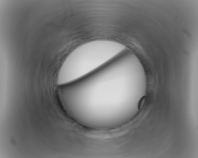 X0000115500029200911061031