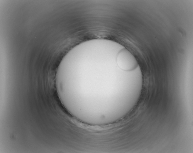 X0000115500030200911061031