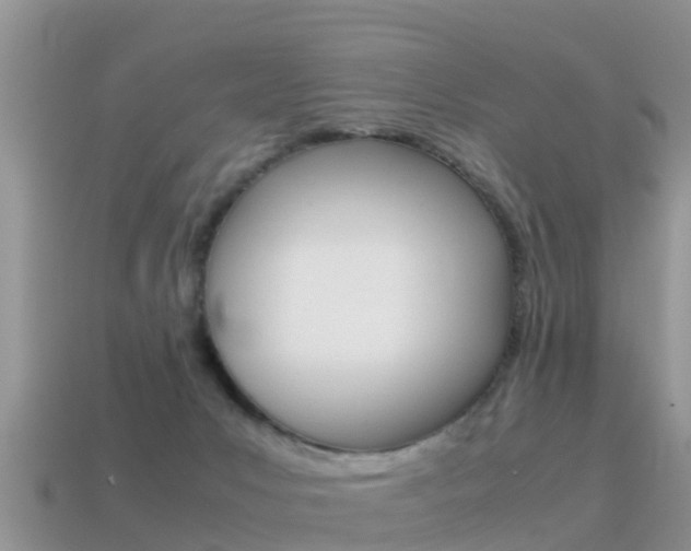 X0000115500031200911061031