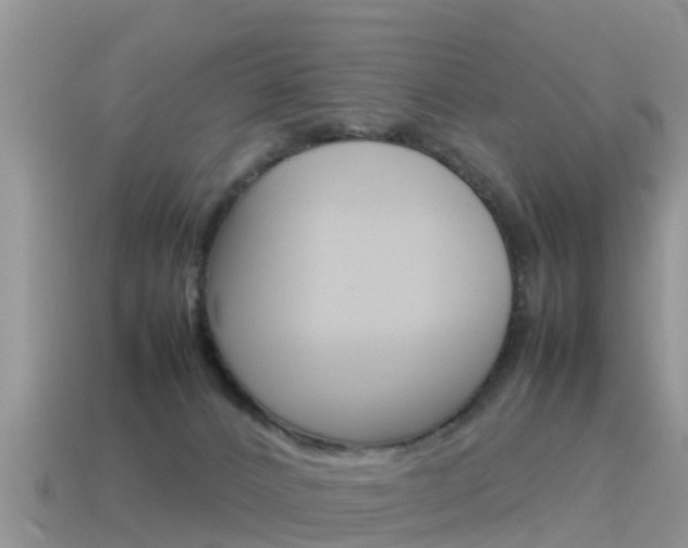 X0000115500032200911061031