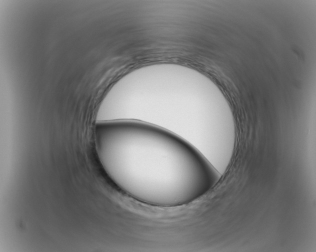 X0000115500035200911061031