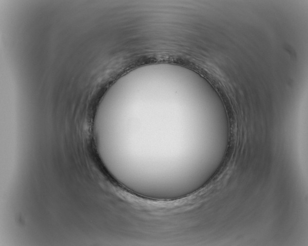 X0000115500039200911061031