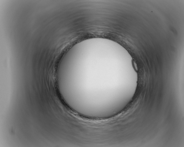 X0000115500040200911061031
