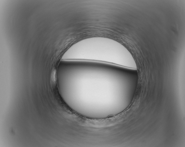X0000115500041200911061031