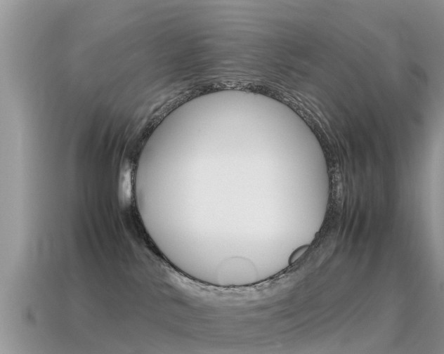 X0000115500042200911061031