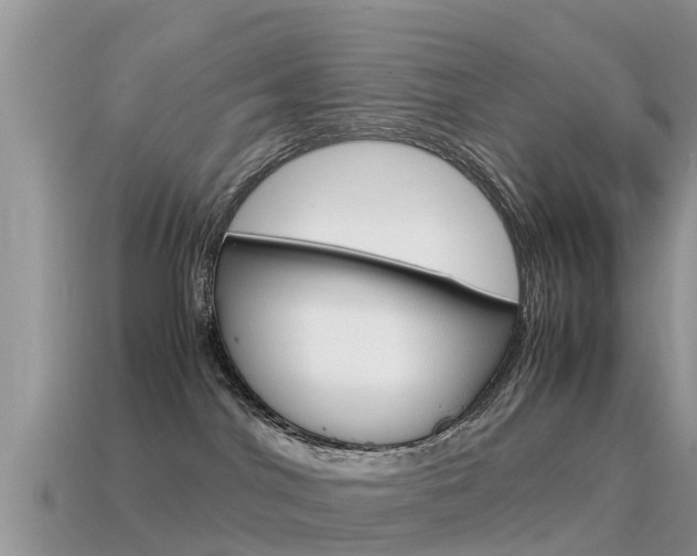 X0000115500044200911061031