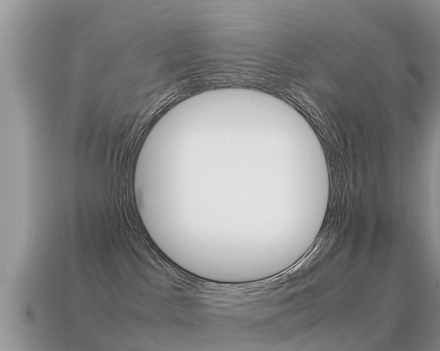 X0000115500045200911061031