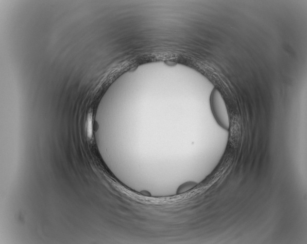 X0000115500046200911061031