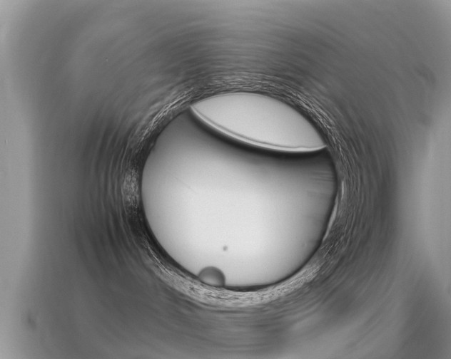 X0000115500048200911061031