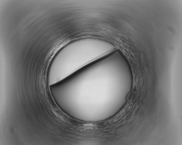 X0000115500050200911061031