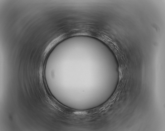 X0000115500051200911061031