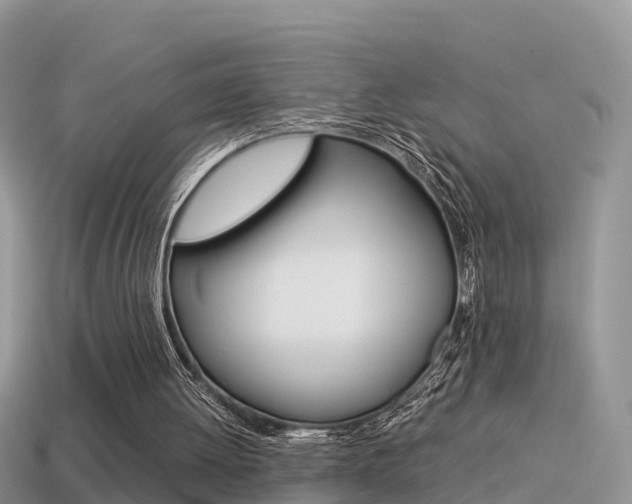 X0000115500052200911061031