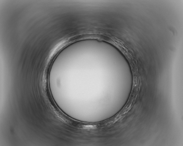 X0000115500053200911061031