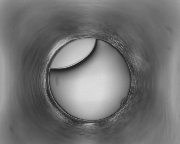 X0000115500054200911061031