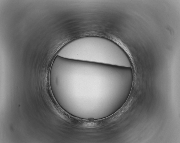 X0000115500057200911061031