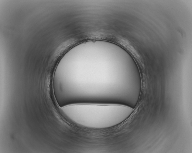 X0000115500058200911061031
