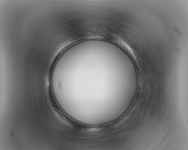X0000115500059200911061031