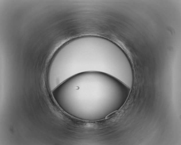 X0000115500060200911061031