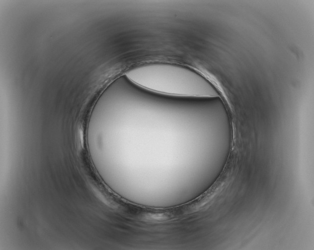 X0000115500061200911061031