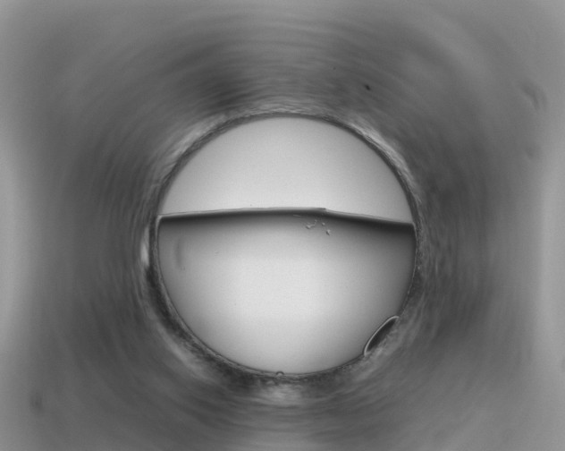 X0000115500062200911061031