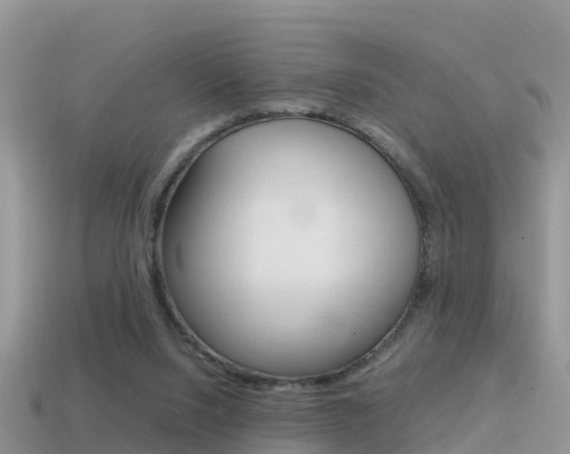 X0000115500064200911061031