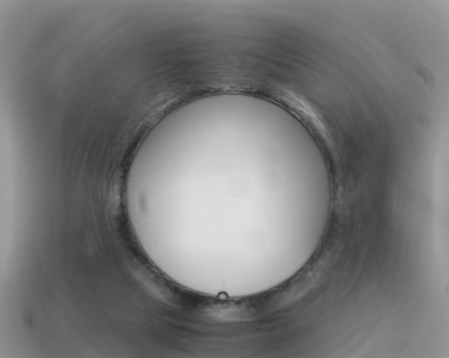 X0000115500065200911061031
