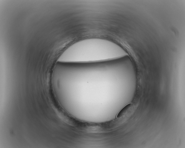 X0000115500066200911061031