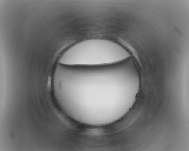 X0000115500067200911061031