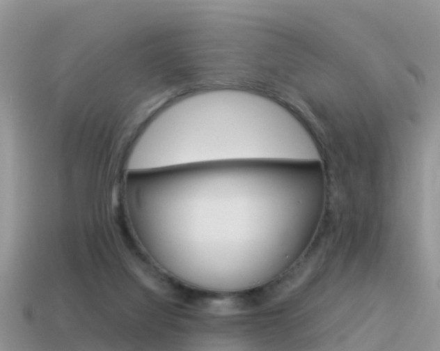 X0000115500068200911061031