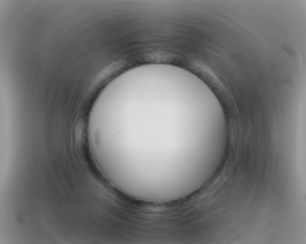 X0000115500071200911061031
