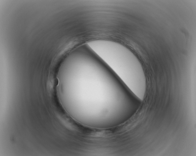 X0000115500072200911061031
