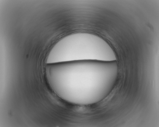 X0000115500074200911061031