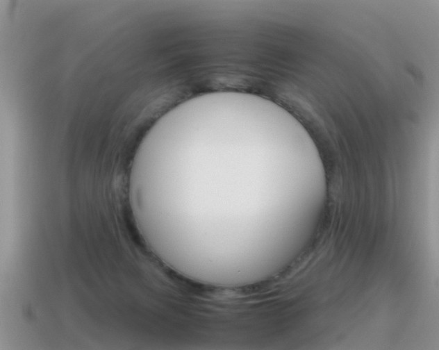 X0000115500079200911061031